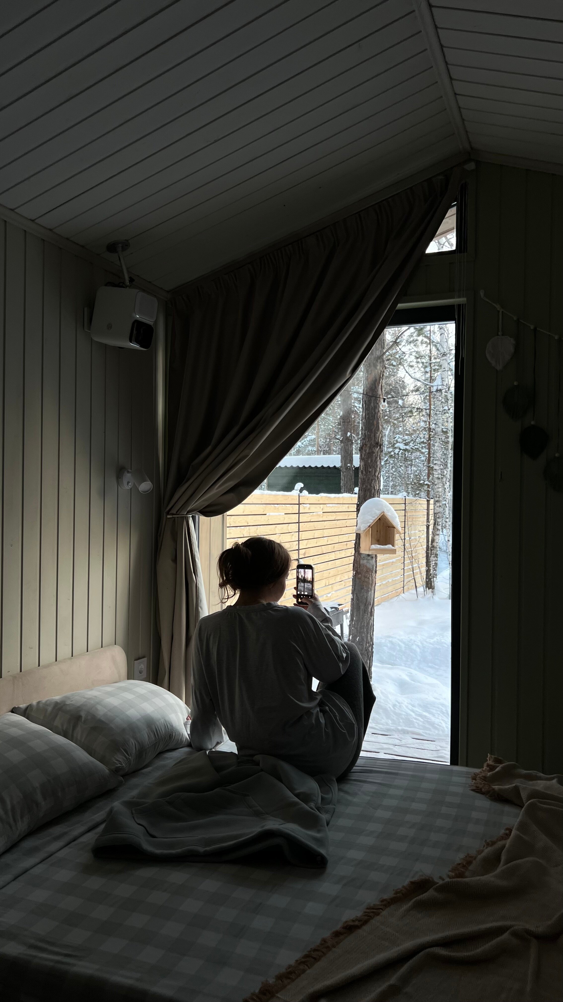 Фото Эхо леса