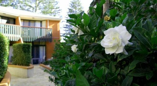 Гостиница Crest Apartments Byron Bay в Байрон-Бэе