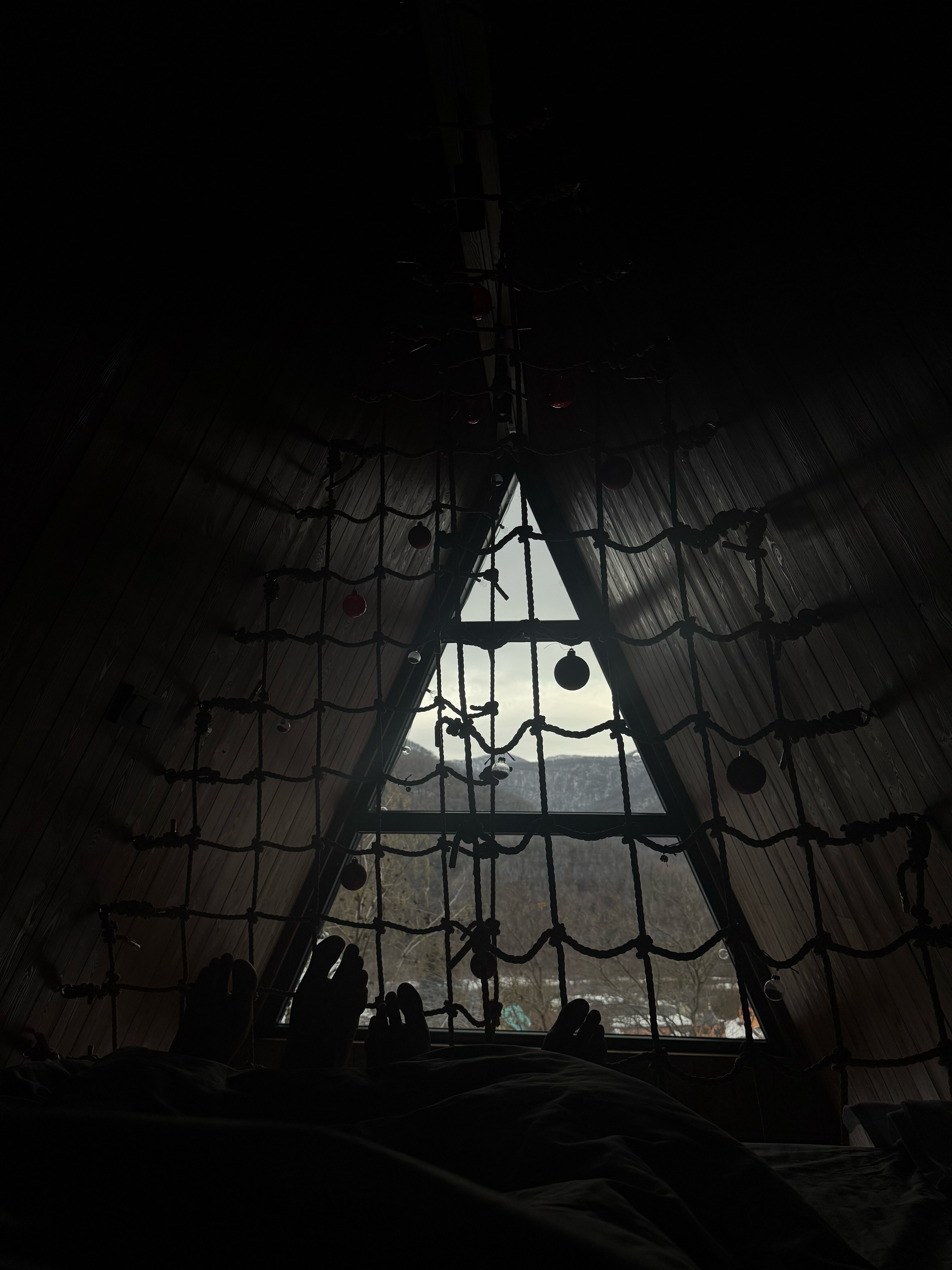 Фото Анвин Фишт