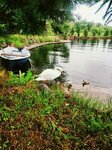 Хутор Скреблово