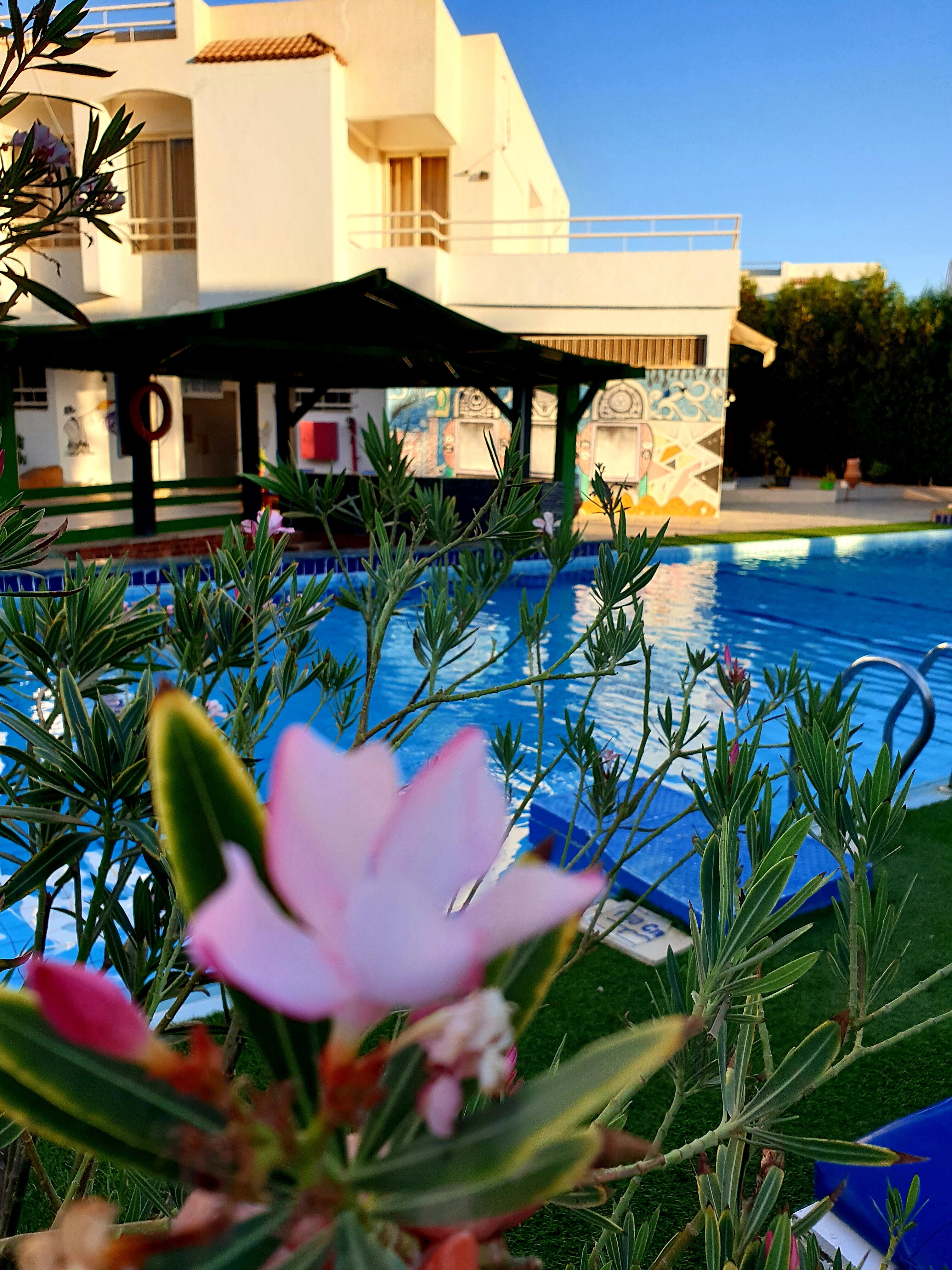Viking Club Sharm El Sheikh - 19