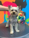 Groom13 (Prichalny Drive, 10к1), pet salon