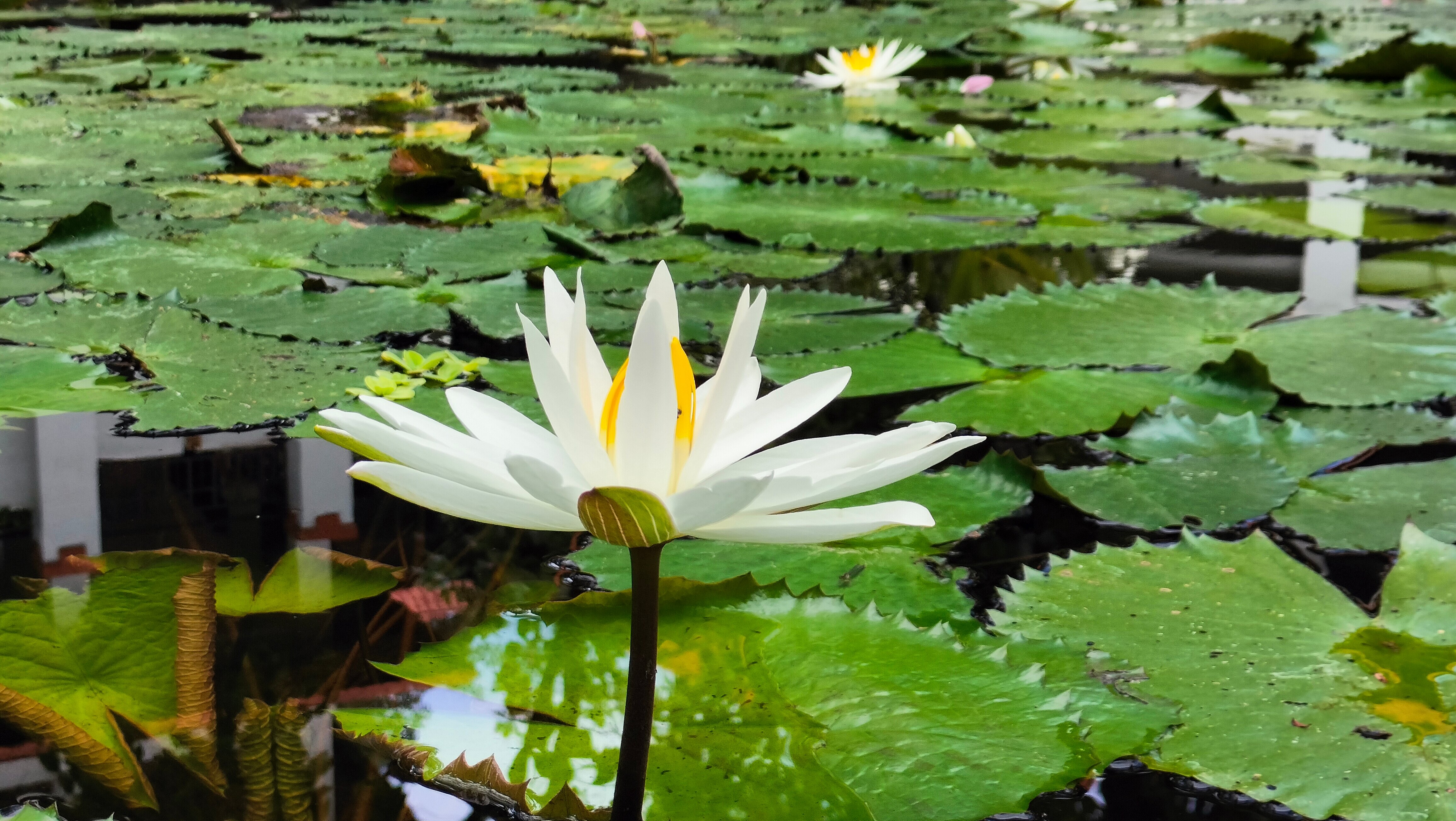 Фото Grand Hyatt Bali