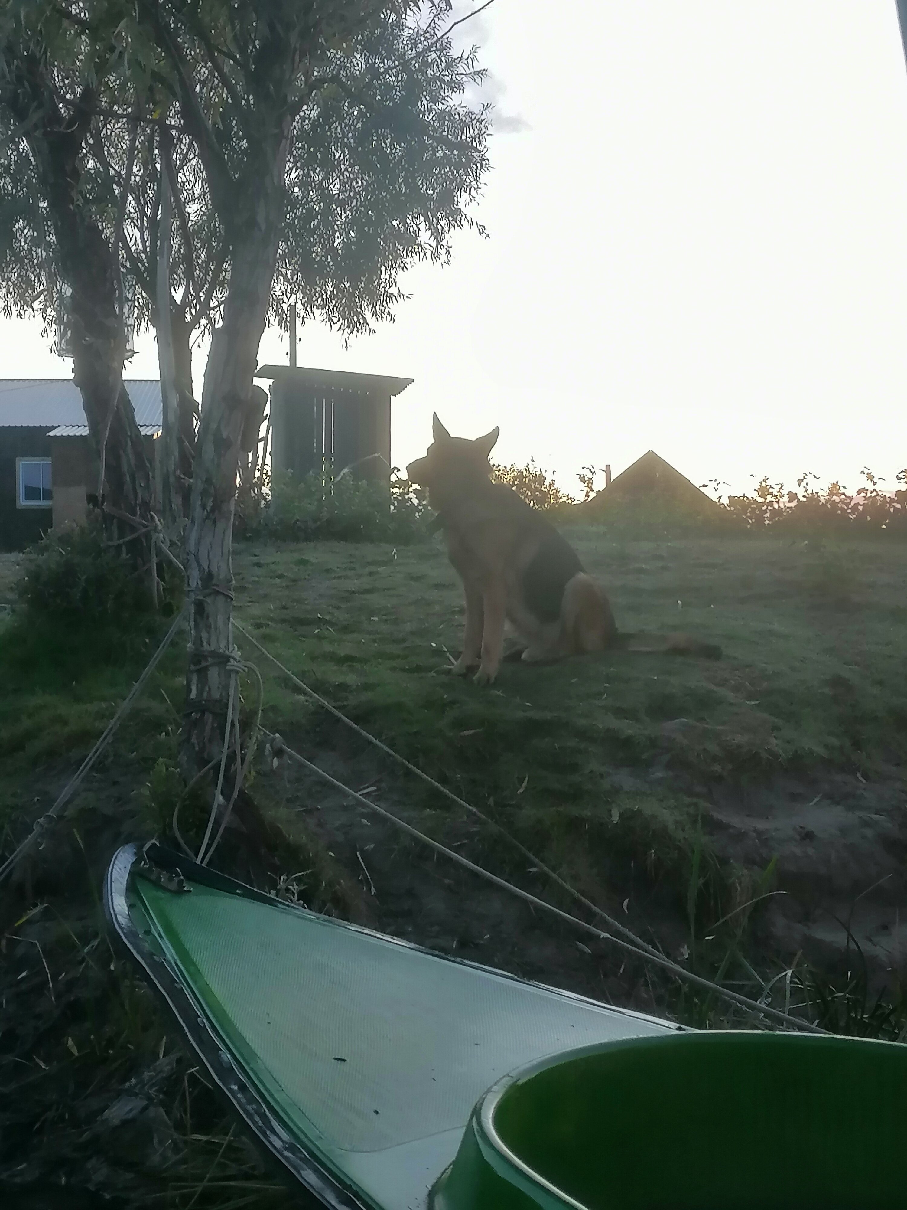 Фото Зеленга