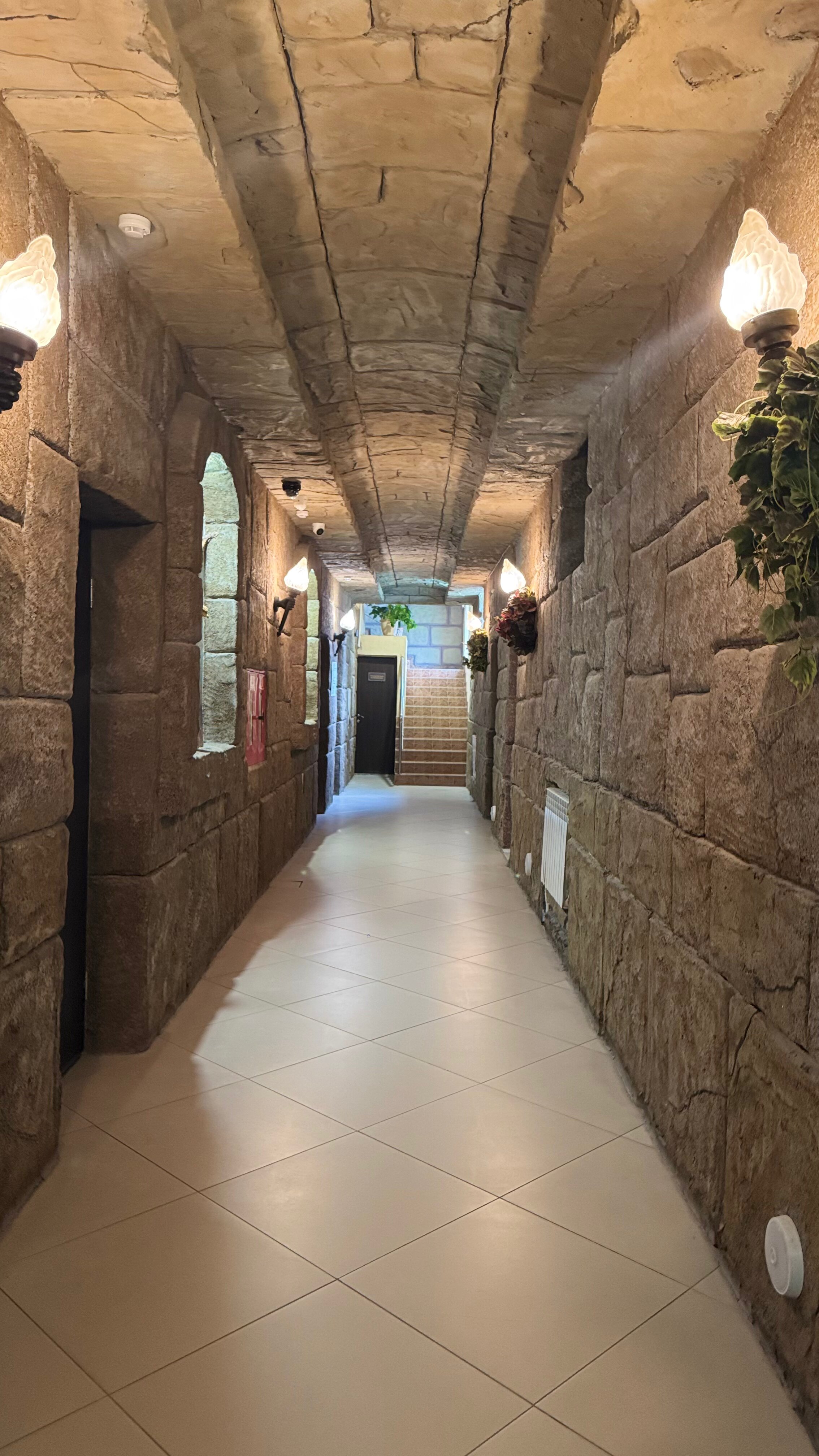 Фото Золотой Орел