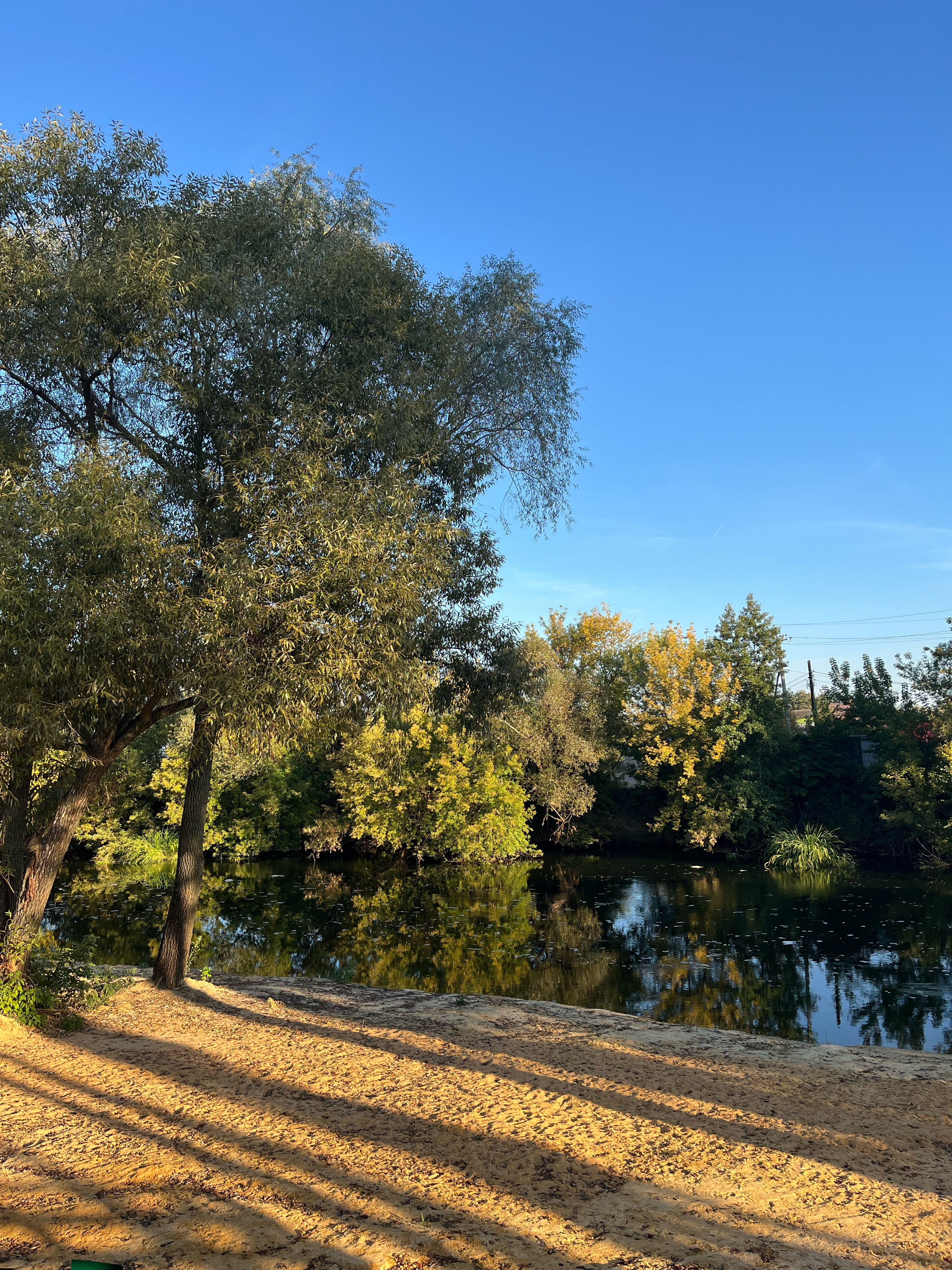 Фото Четыре сезона