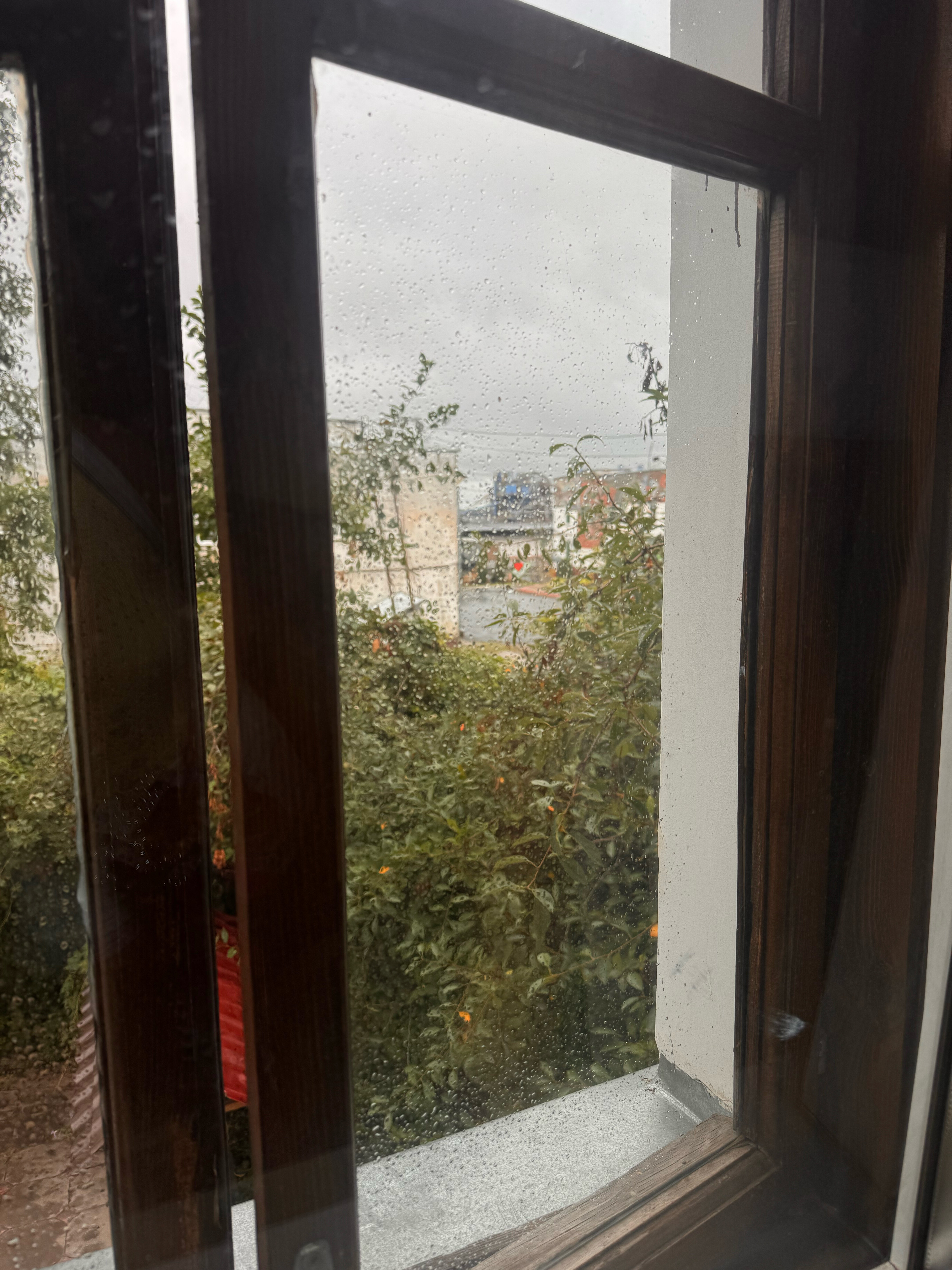 Фото ЯсенПень