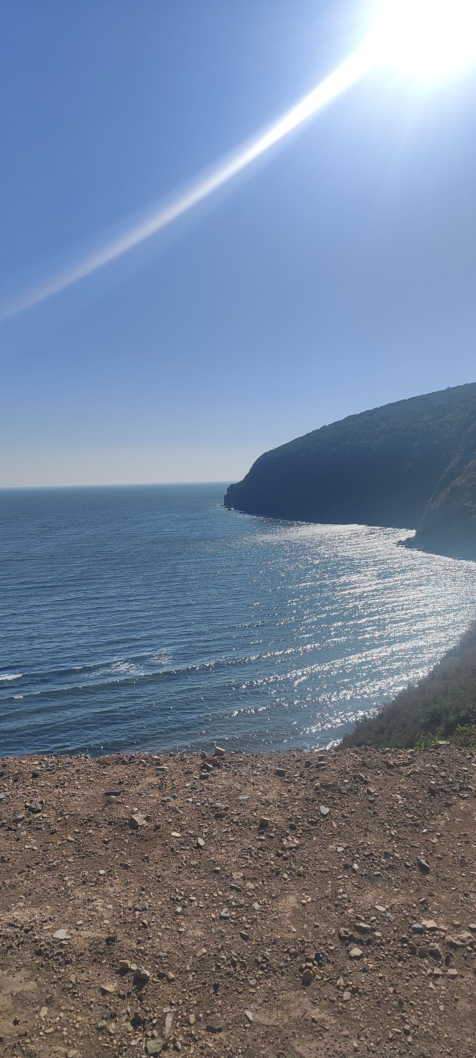 Фото Лазурная черепаха