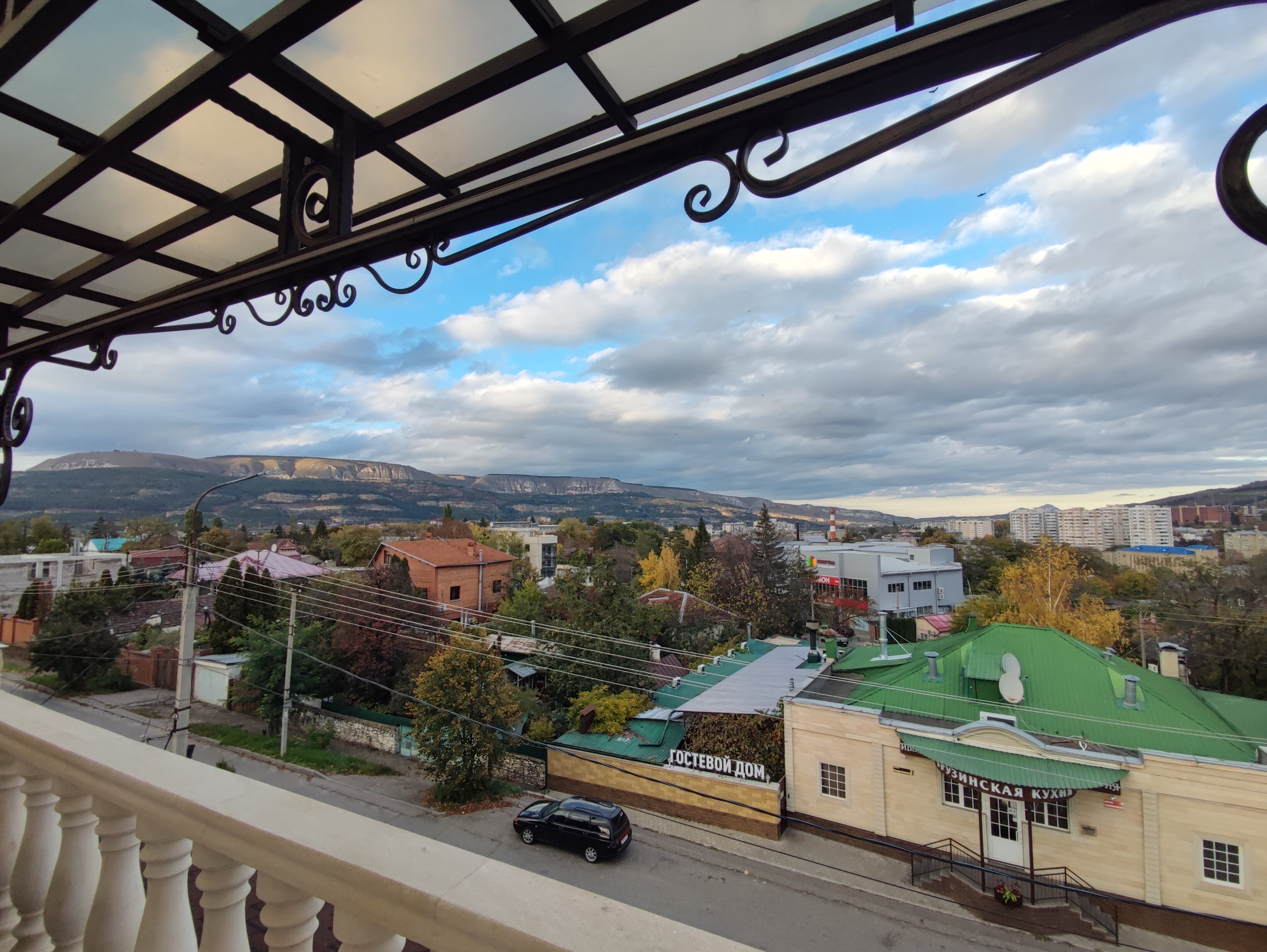 Фото Береза