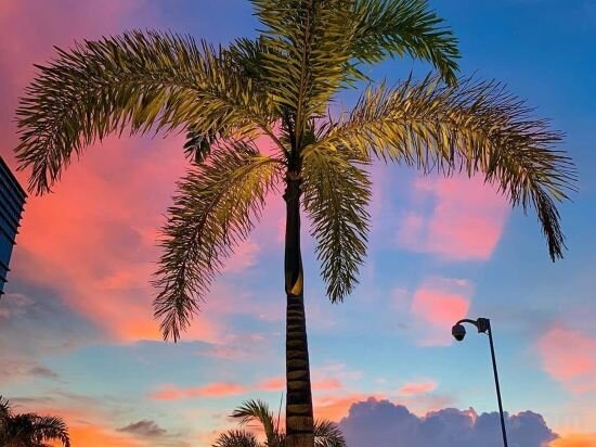 Фото Отель Richmonde Hotel Iloilo