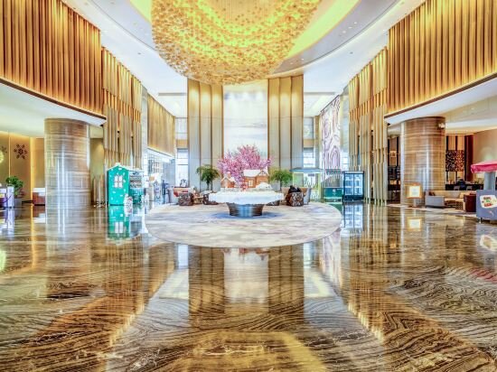 Фото 224555370258