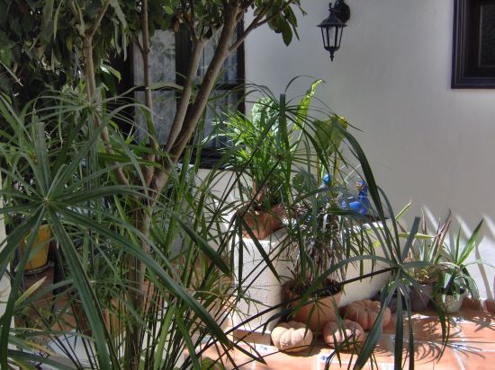 Фото Apartamentos Monasterio de San Antonio