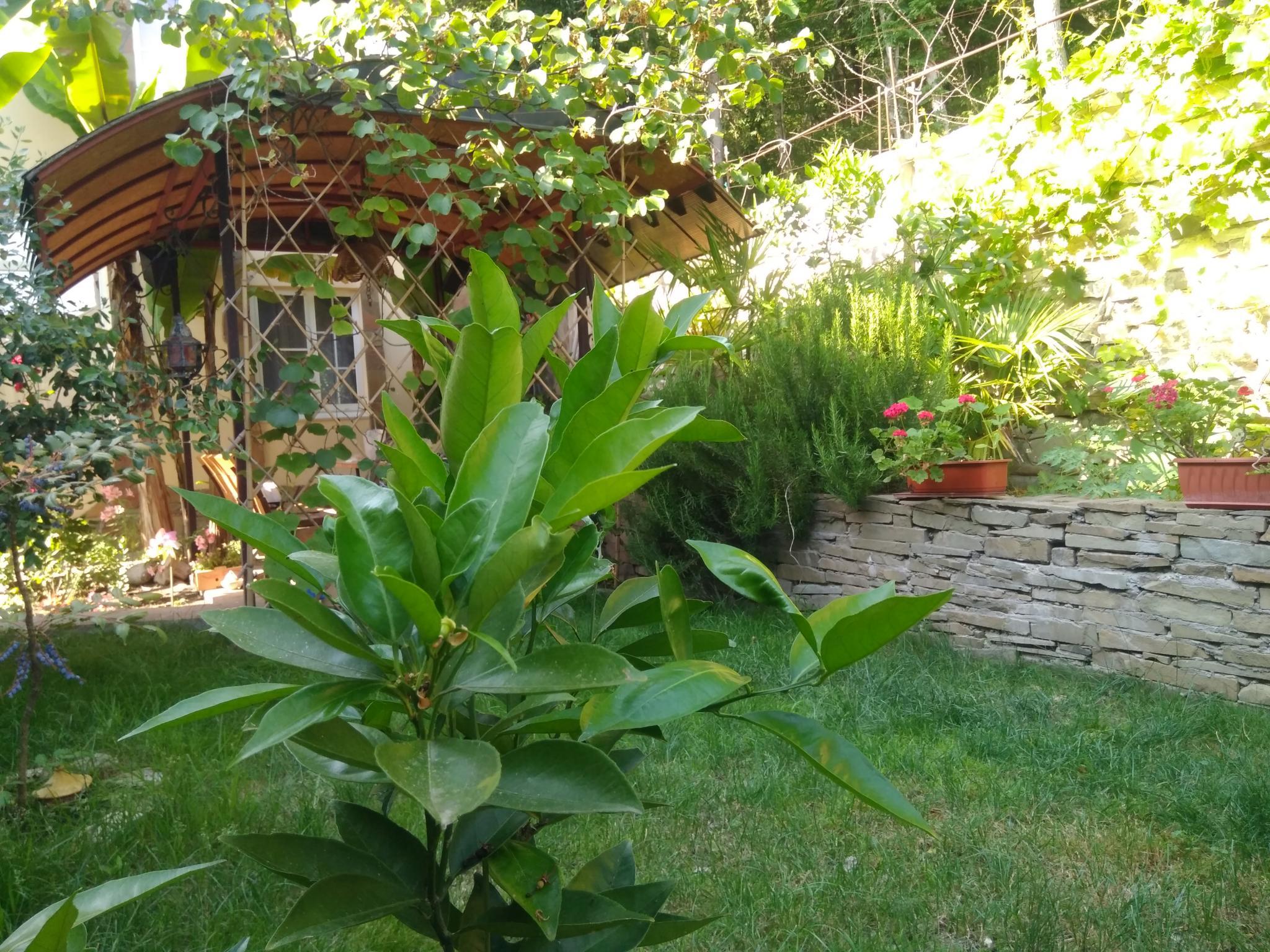 Фото Вилла Море у Леса