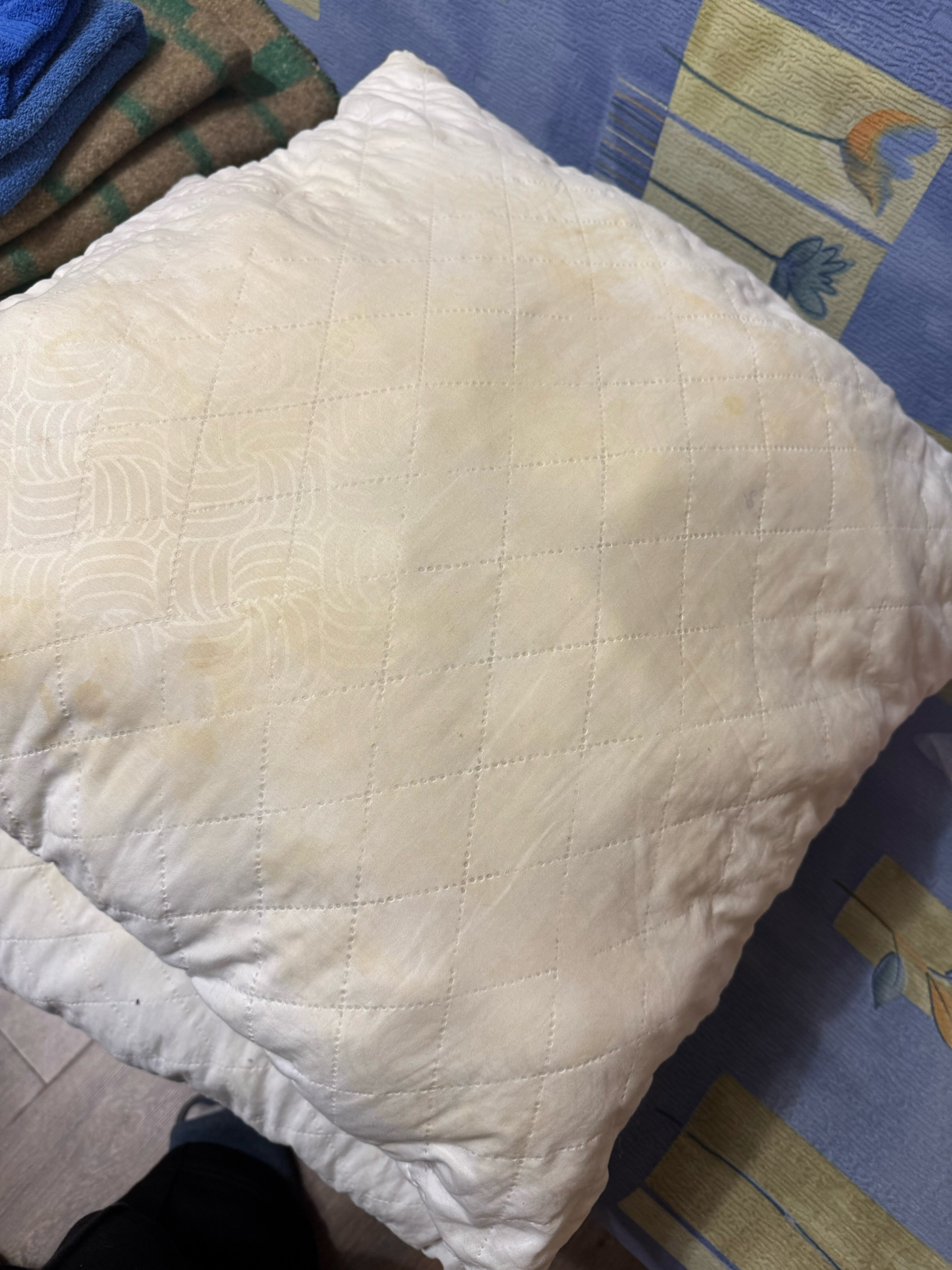 Фото Северяночка