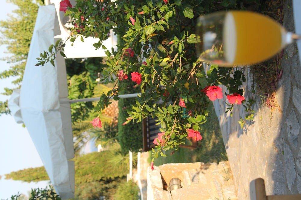 Фото Scala Apartments