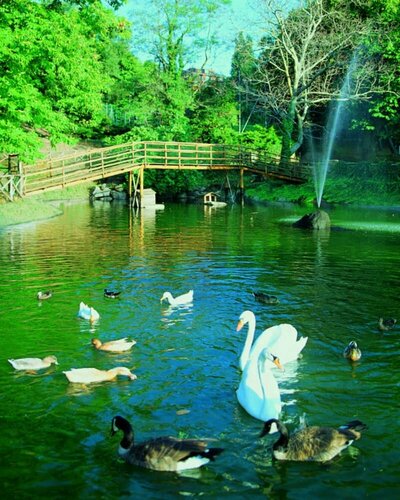 Внешний вид отеля Balletti Park Hotel в Витербо, фото 4