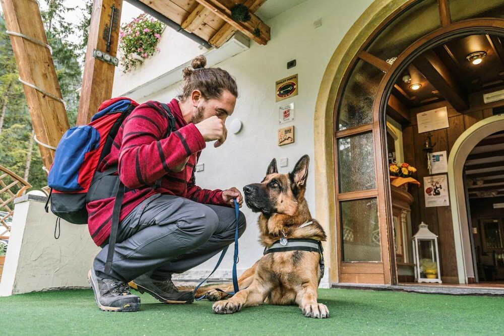 Фото Hotel Chalet Pineta