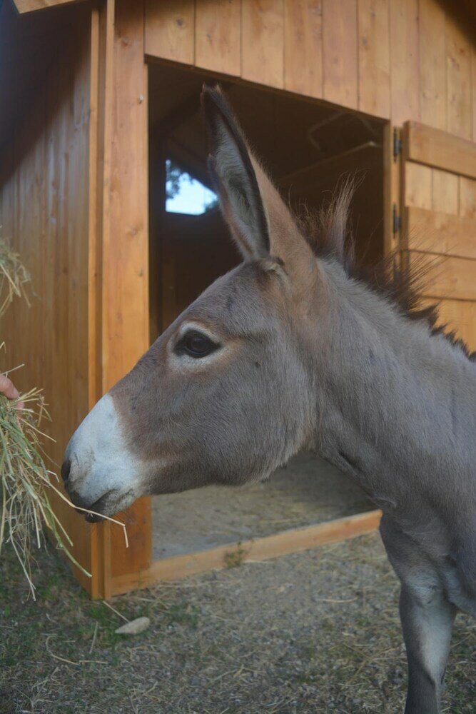 Фото Podere delle Fanciulle