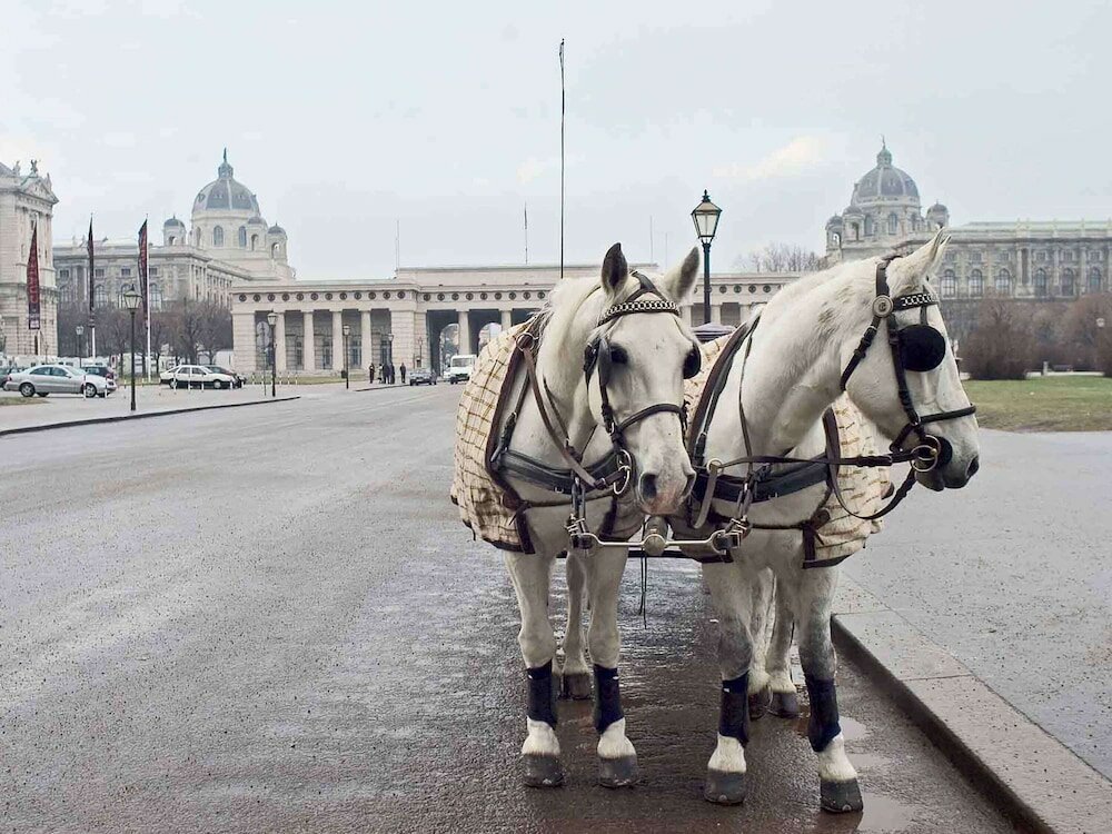 Фото Hotel Mercure Wien City