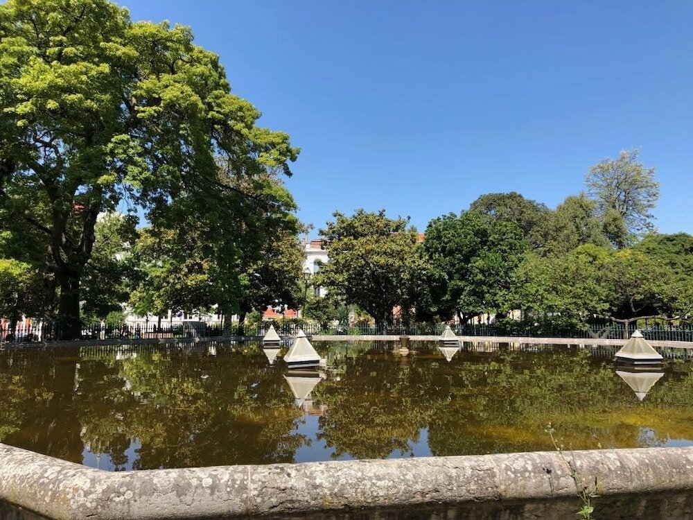 Фото Botanic Views Guest House