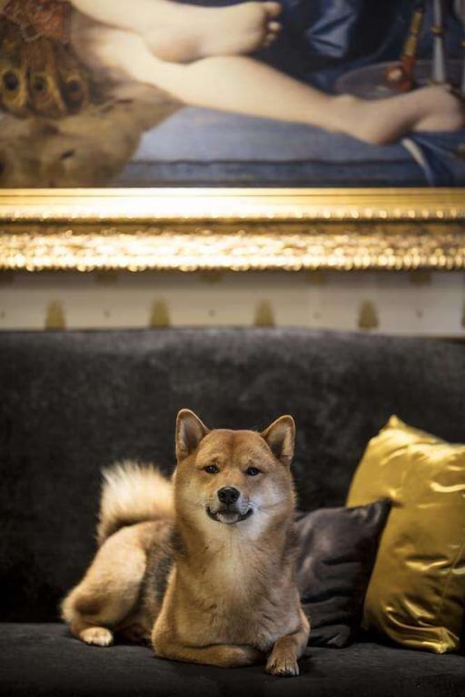 Фото Hotel Eiffel Petit Louvre