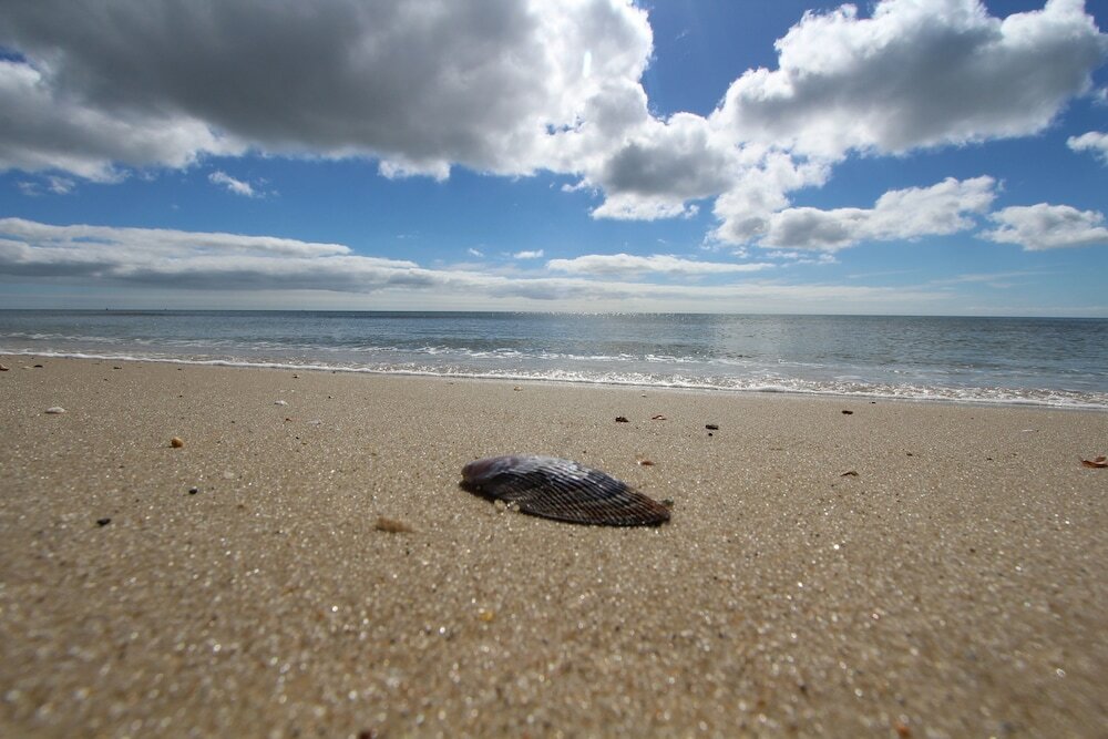 Фото Edgewater Beach Resort, a Vri resort