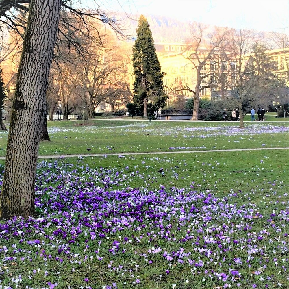 Фото Aqua Aurelia Люкс-отель
