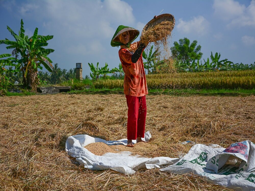 Фото Seseh Beach Villas
