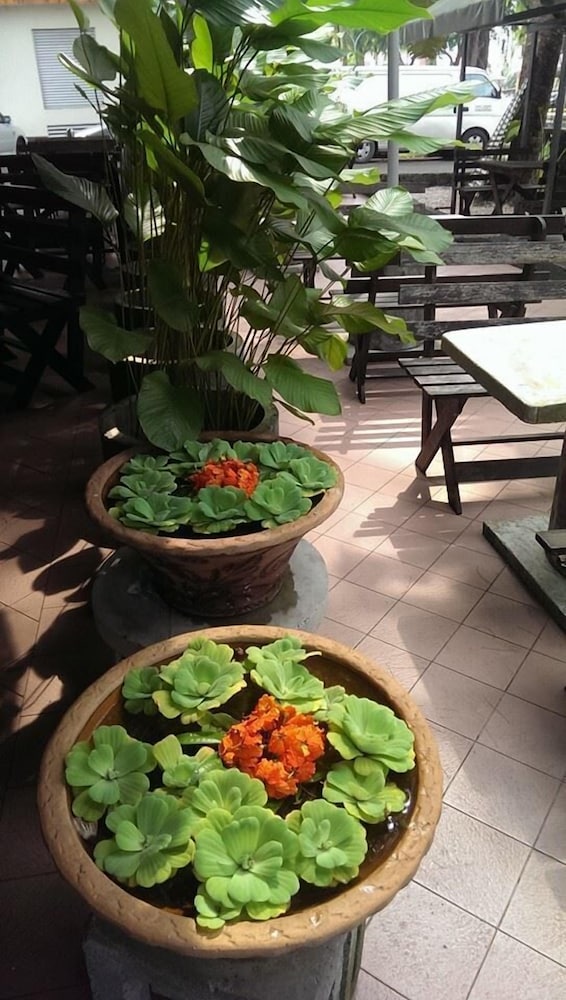 Фото The Orchid Hotel