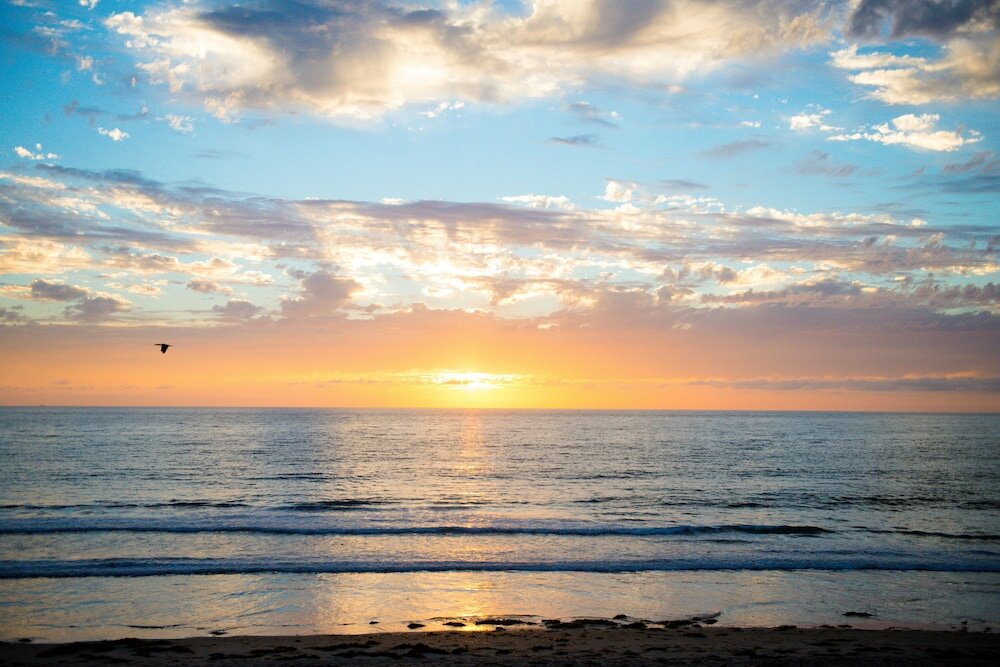 Фото Pacific Terrace Hotel