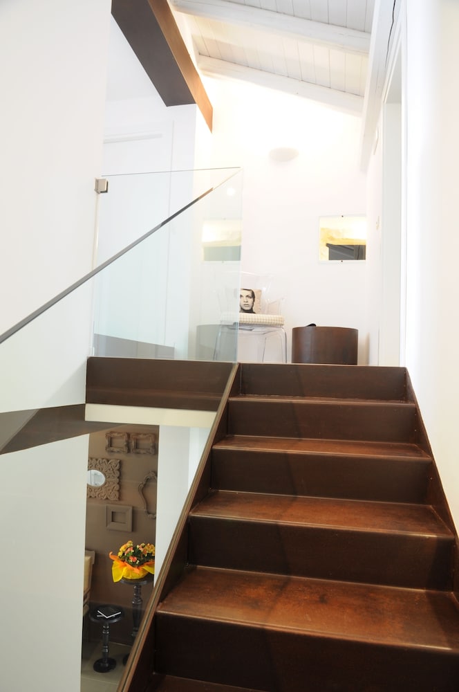 Фото Iblainsuite