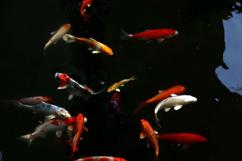 Фото Riversoul Residence Hotel