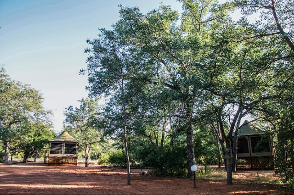 Фото Iphofolo Lodge