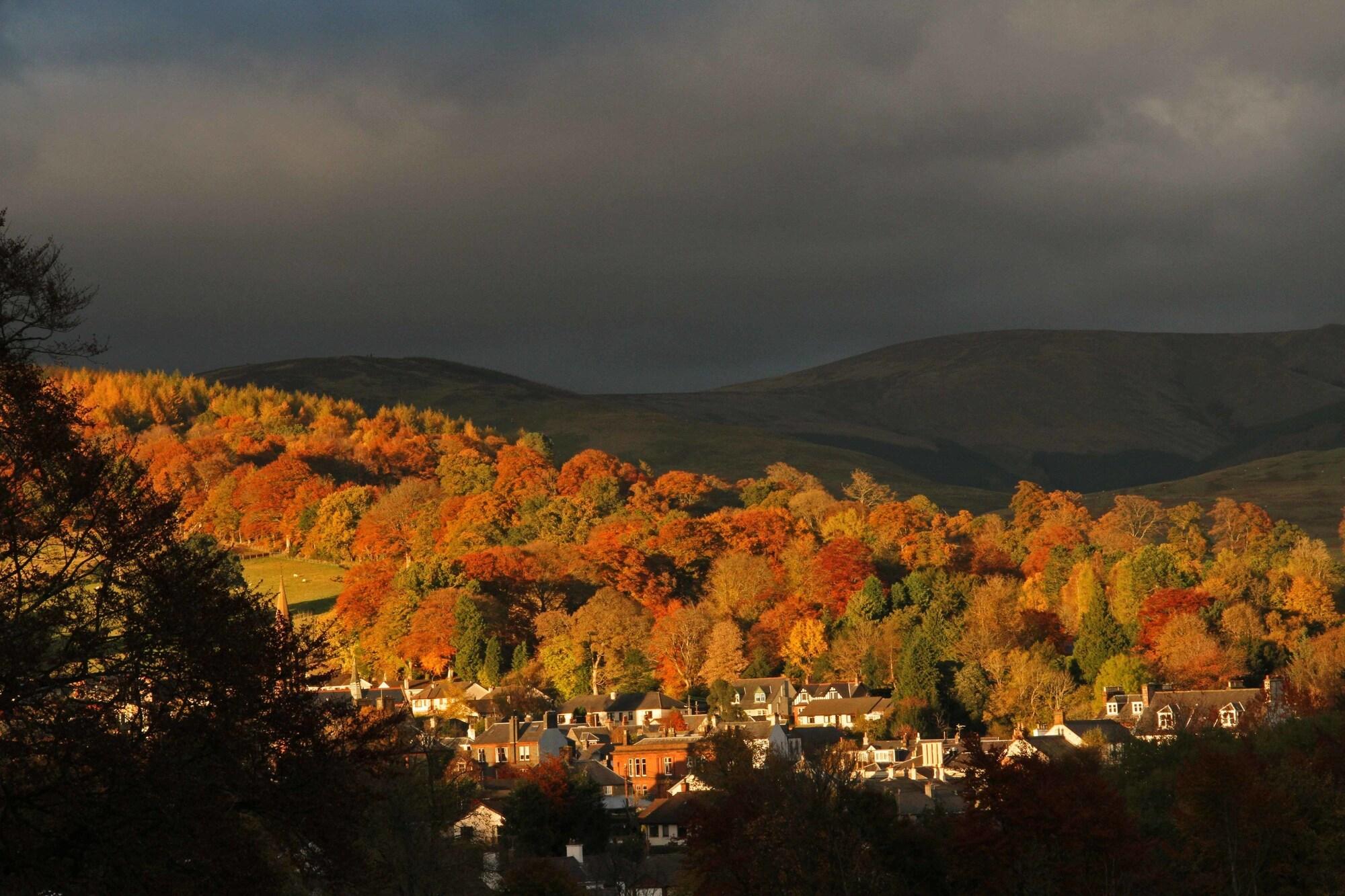 Фото Annandale Arms Hotel