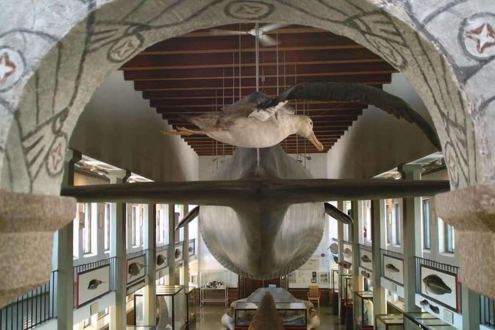 Фото Scandic Park Sandefjord