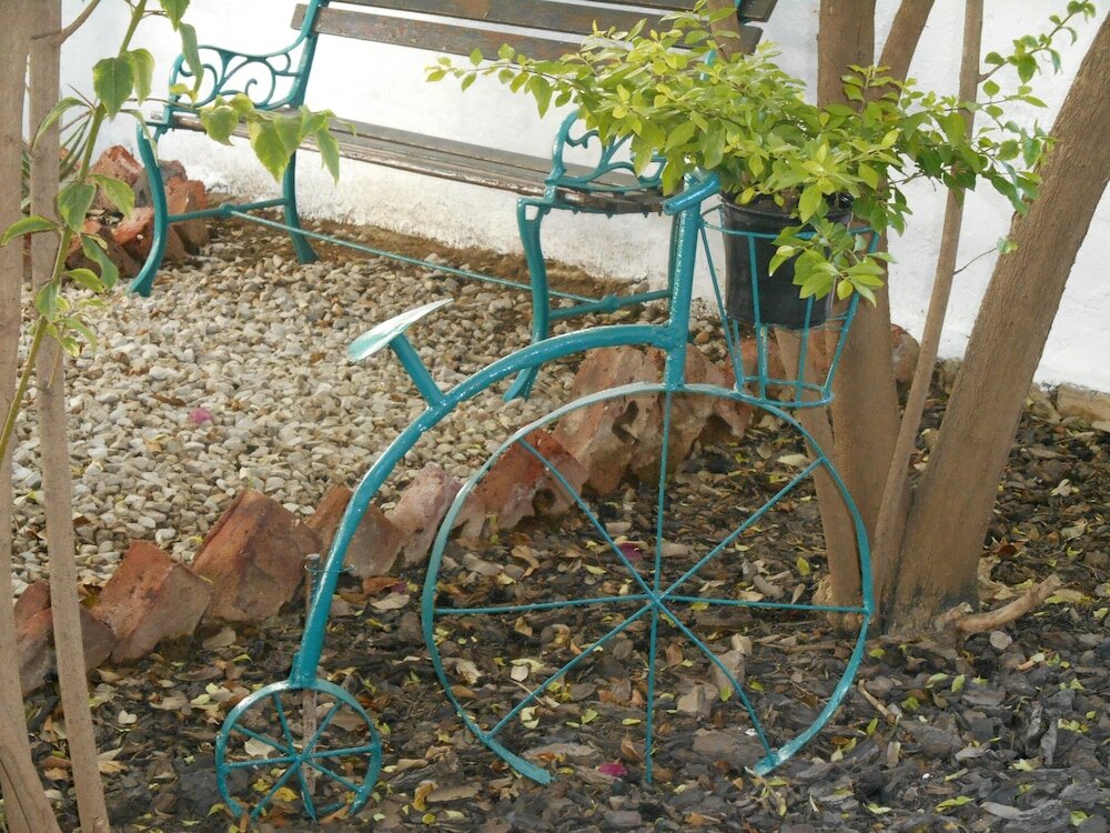 Фото Obesa Lodge