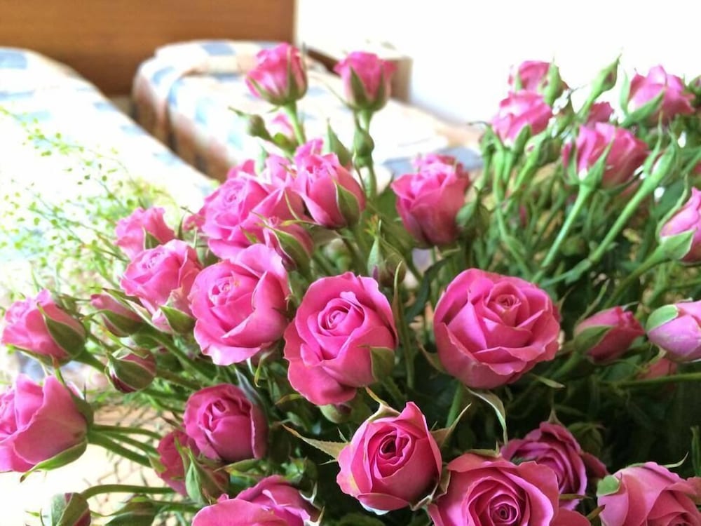 Фото Moniatis Hotel