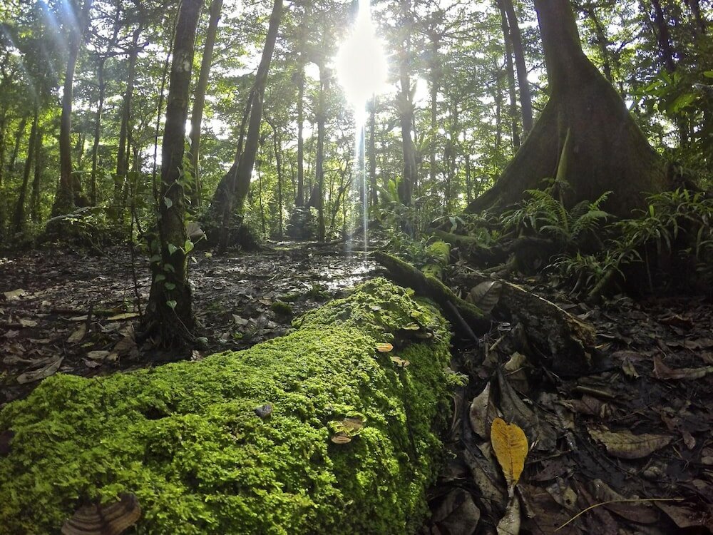 Фото Kosrae Nautilus Resort