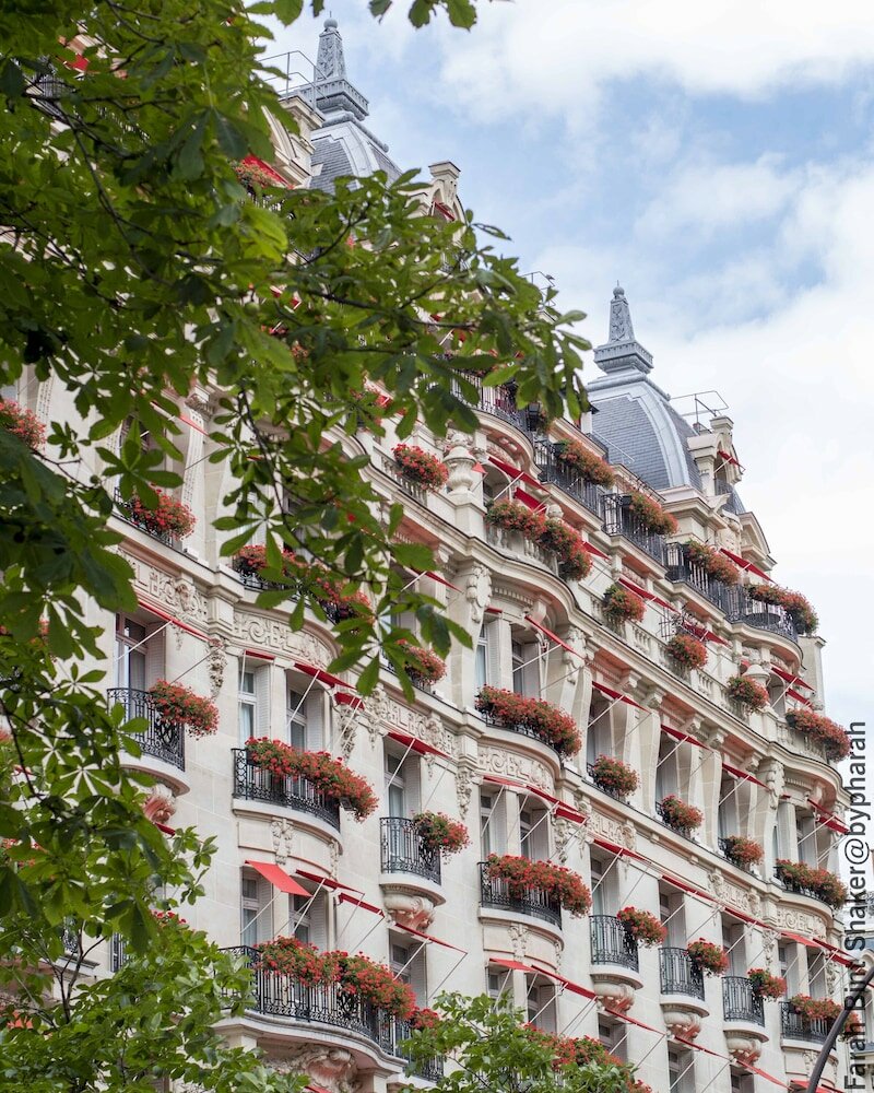 Фото Hotel Plaza Athenee