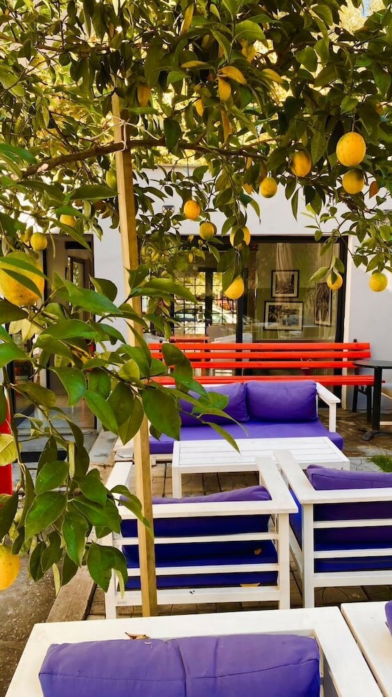 Фото Hotel Antigone