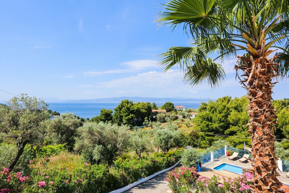 Фото Angelina Studios