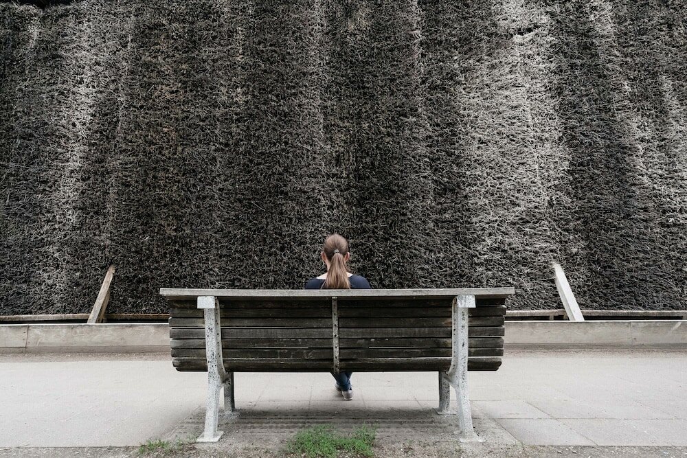 Фото Seminaris Hotel Lüneburg