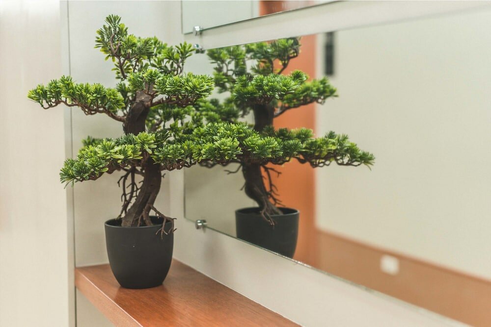 Фото Henia Hotel