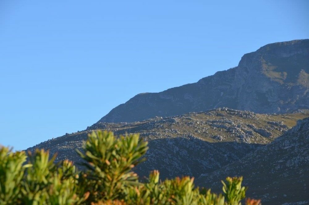 Фото Kapensis Guesthouse