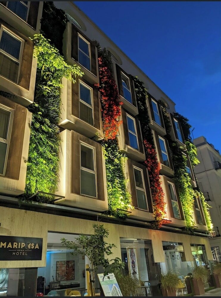 Фото Mariposa Hotel Malaga