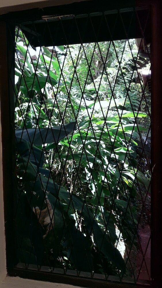 Фото Tree Breeze Inn