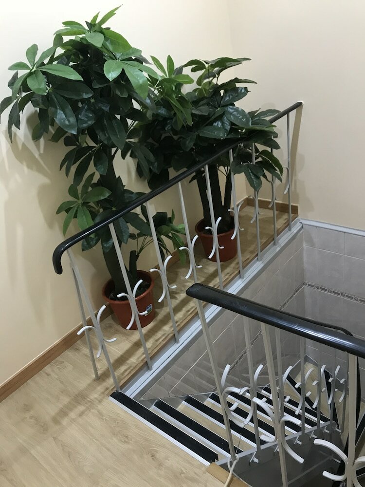 Фото O Elétrico Guesthouse