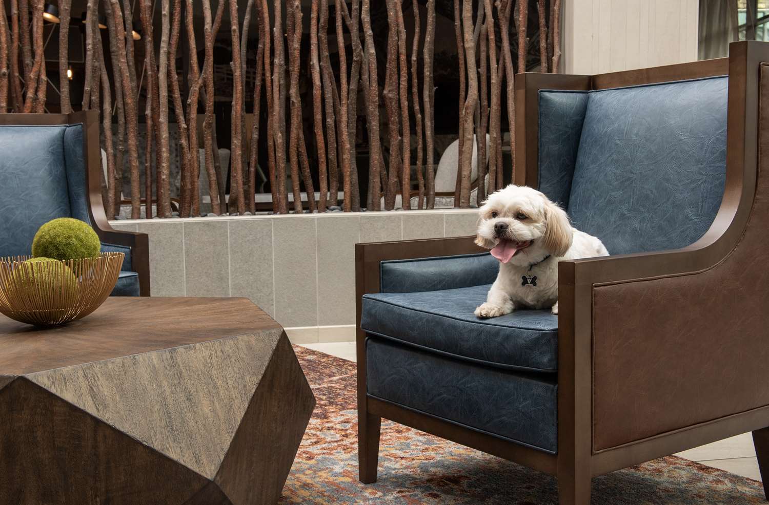 Фото Embassy Suites Springfield