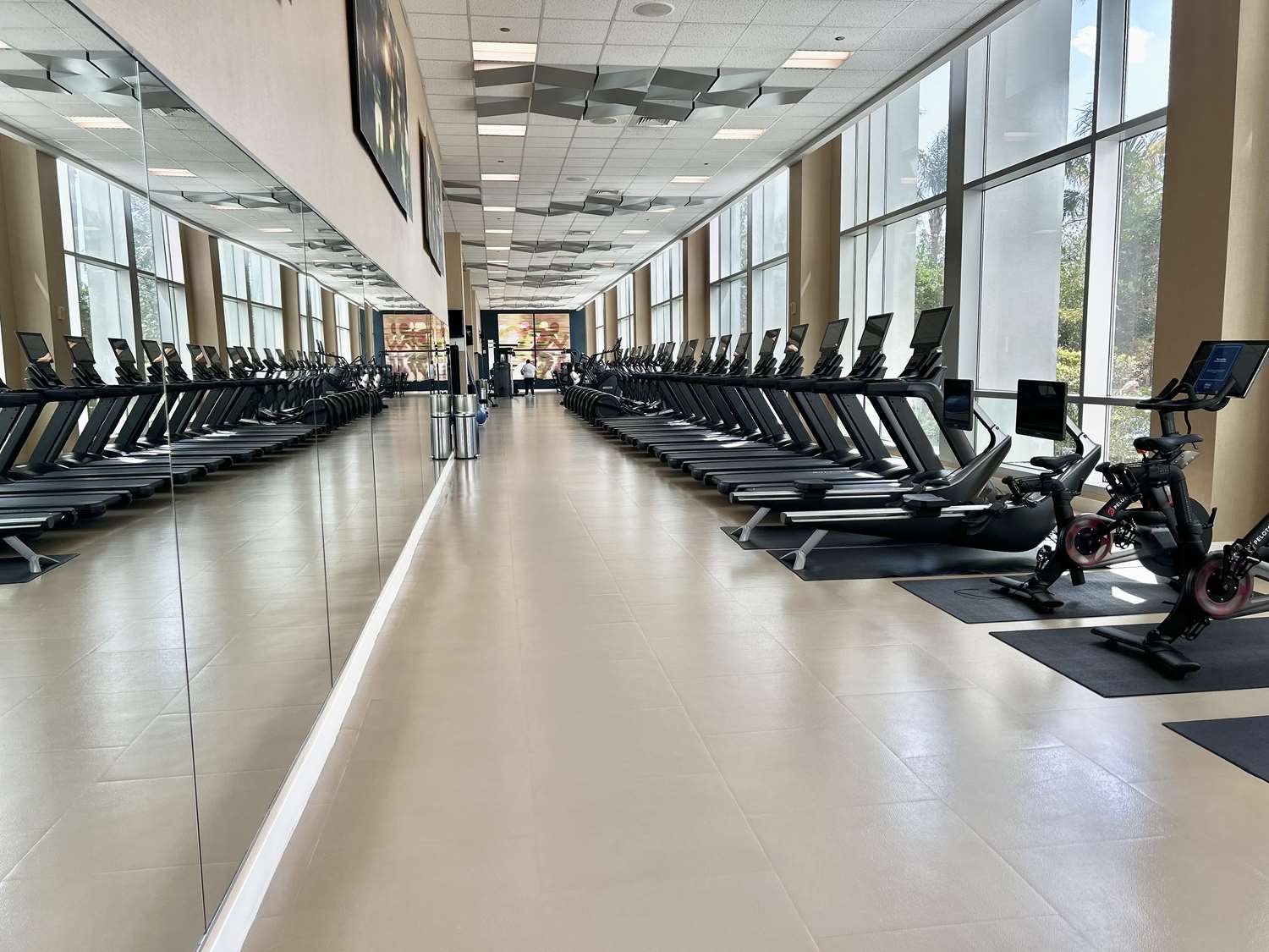 Фото Hilton Orlando