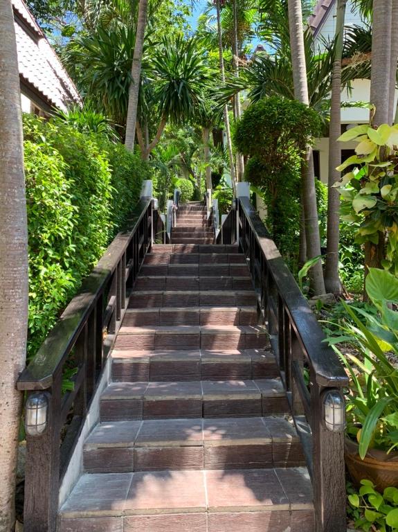 Фото Tok's Little Hut